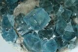 Cubic, Blue-Green Fluorite Crystals on Druzy Quartz - Fluorescent #185458-1